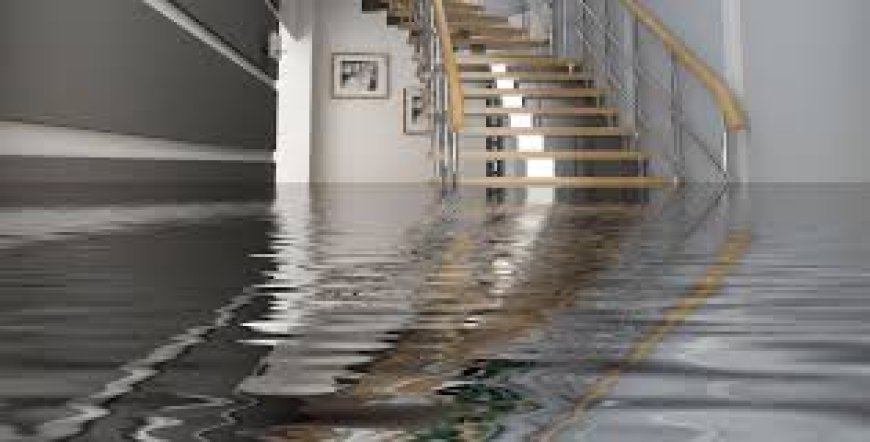 Sewage Cleanup How to Keep Your Home Safe and Clean