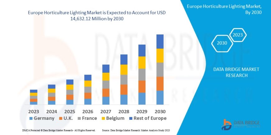Europe Horticulture Lighting Market Leaders: Growth, Share, Value, Size, and Scope