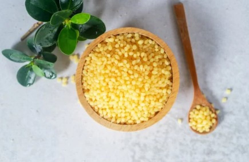 Latin America Candelilla Wax Market Revenue Analysis: Growth, Share, Value, Size, and Insights