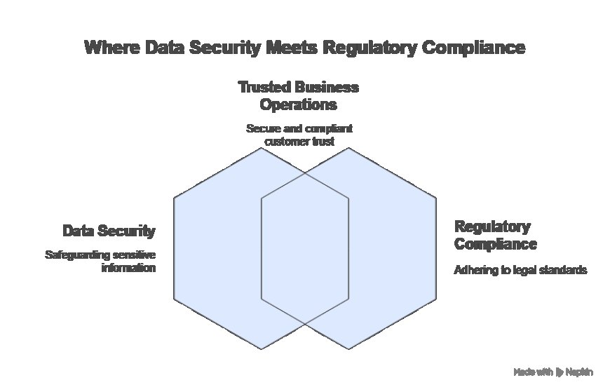 What to Expect from a Professional PCI DSS Consulting Firm.