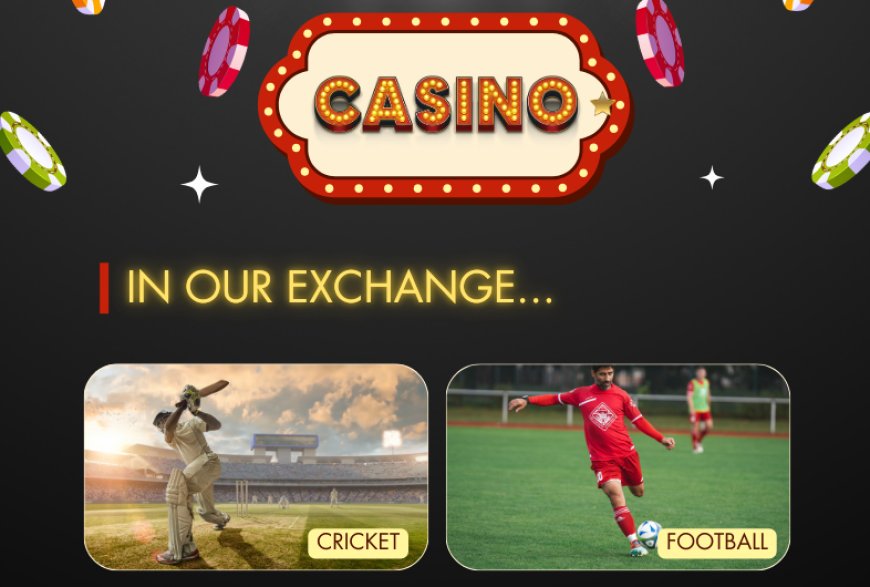 11xplay Login – A Complete Guide to Easy and Secure Access