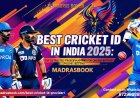 Best Cricket ID in India 2025: Top 10 Trusted Platforms for Online Betting
