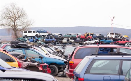 What Happens to Your Car After a Scrap Yard Buys It?