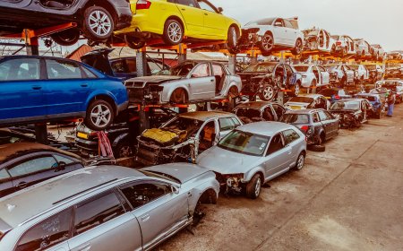 Eco-Friendly and Profitable: The New Age of Vehicle Recycling