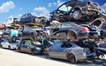 Tips for Understanding the Hidden Value in Old Cars