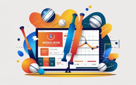 Looking for a Cricket ID? Here Are India’s Best Providers