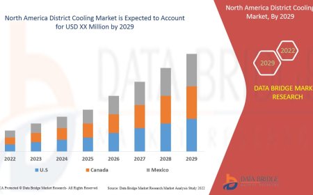 North America District Cooling Market Size, Status and Outlook 2029