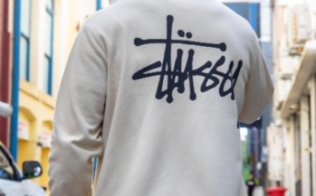 From Sidewalk to Spotlight The Rise of the Stussy Hoodie
