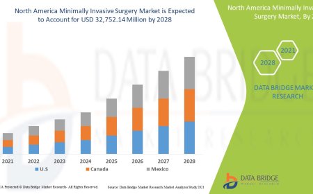 North America Minimally Invasive Market Market Size, Status and Outlook 2028
