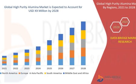High Purity Alumina Market Market Size, Status and Outlook 2028