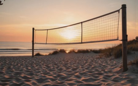 Mastering the Backcourt: The Essential Role of the Volleyball Libero