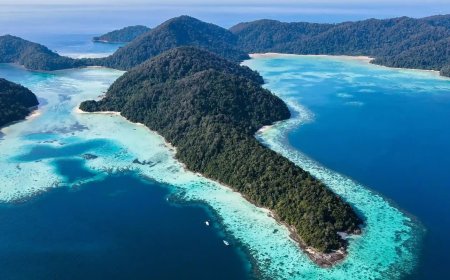 Slon Travel: Customized Tours, Rentals & More on Phuket Island