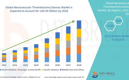 Neurovascular Thrombectomy Devices Market Size, Share, Trends, Demand, Growth, Challenges and Competitive Outlook
