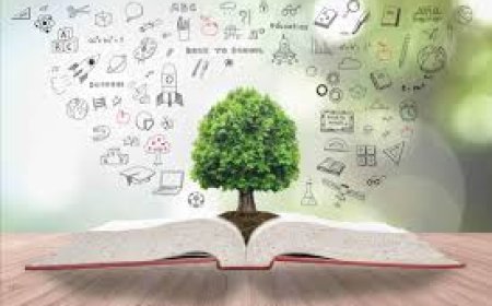 Top 5+ Universities that Offer Full or Partial Scholarships