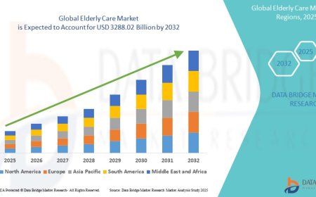 Elderly Care Market Size, Share, Trends, Key Drivers, Growth and Opportunity Analysis