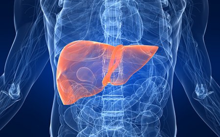 Liver Biopsy: When It’s Needed and How Safe It Really Is