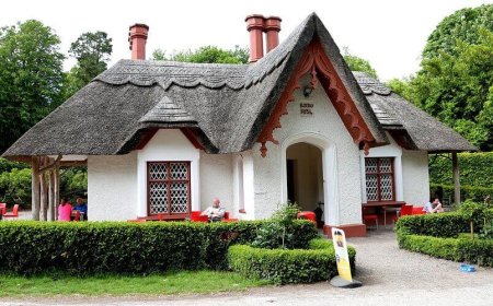 Tired of High Cable Bills? Here’s Why Skywirebox Is the Solution You Need