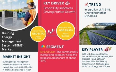 Building Energy Management System (BEMS) Market Insights 2025–2030: Size, Share & Key Highlights
