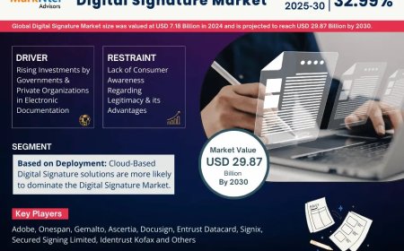 Digital Signature Market Research 2025–2030: Growth, Size & Opportunities