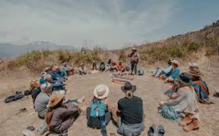 New Clinical Trials in Psychedelic Therapy: Promising Results in 2025