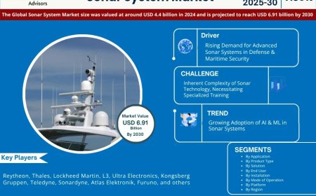 Sonar System Market Research 2025–2030: Growth, Size & Opportunities