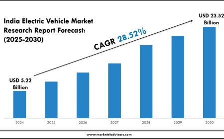 India Electric Vehicle Market Analysis & Forecast (2025–2030)
