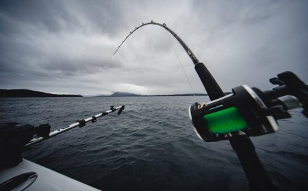 Things to Look for When Comparing Fishing Trip Packages