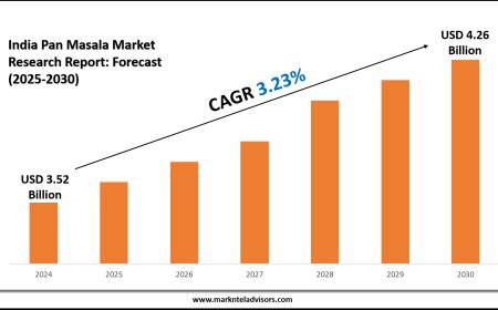 India Pan Masala Industry Forecast and Competitive Landscape