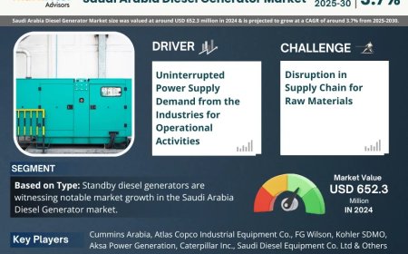 Saudi Arabia Diesel Generator Market Research 2025–2030: Growth, Size & Opportunities