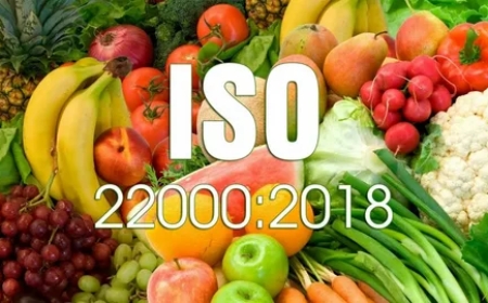 Protect What You Serve: Why ISO 22000 Certification Matters