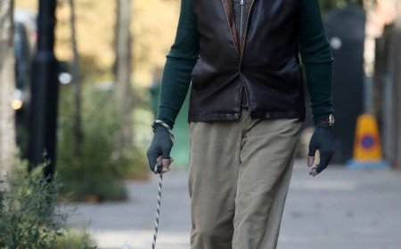 Trusted Paws on the Pavement of North West London