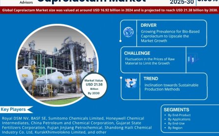 Caprolactam Market Analysis 2025–2030: Size, Share & Future Outlook