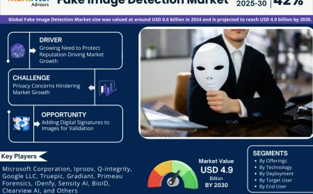 Top 5 Trends Shaping the Future of Fake Image Detection