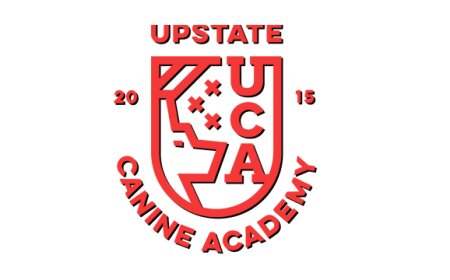 How to Train a Puppy: The First 8 Weeks Made Easy