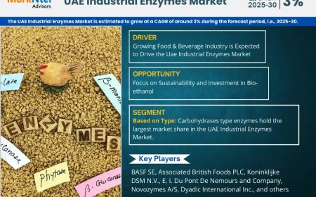 UAE Industrial Enzymes Market Analysis 2025–2030: Size, Share & Future Outlook