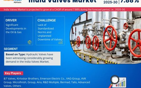 India Valves Market Analysis 2025–2030: Size, Share & Future Outlook