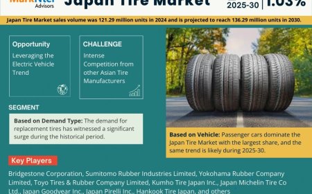 Japan Tire Market Research 2025–2030: Growth, Size & Opportunities