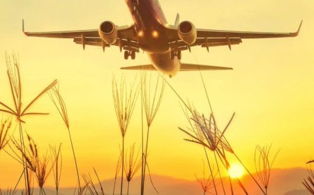 ✈️ Your Comprehensive Guide to Booking a Delhi to Ahmedabad Flight in 2025