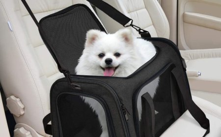Choosing the Right Puppy Purse Carrier for Style and Comfort