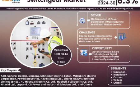 Switchgear Market Analysis 2024–2030: Size, Share & Future Outlook