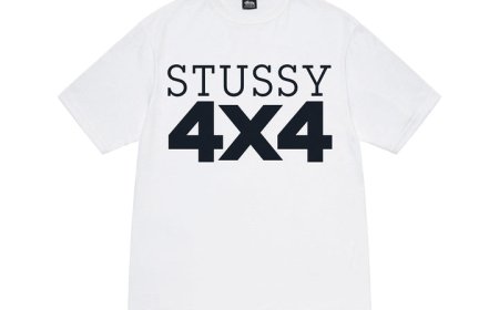 The Popularity of Stussy shirt
