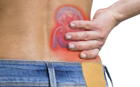 Kidney Transplant Surgery in Jaipur: Meet the Experts Saving Lives