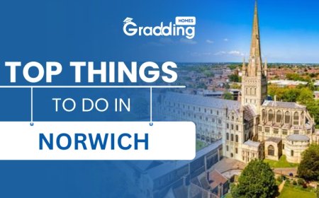 Best Things to Do in Norwich That Make Student Life Better
