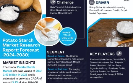 Potato Starch Market Poised for Strong 3.1% CAGR Through 2030 | Size & Opportunity Insights