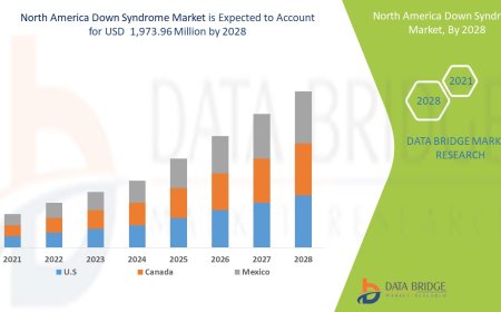 North America Down Syndrome Market Size, Share, Trends, Key Drivers, Growth Opportunities and Competitive Outlook