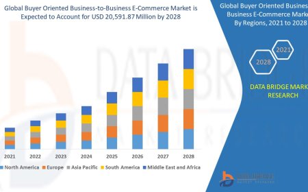 Buyer Oriented Business-to-Business E-Commerce Market Size, Share, Growth, Trends, Demand and Opportunity Analysis