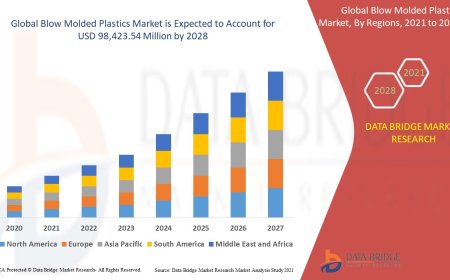 Blow Molded Plastics Market Size, Share, Trends, Growth Opportunities and Competitive Outlook