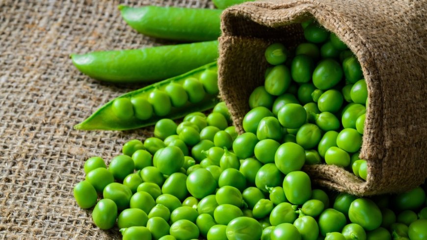 Establishing a Profitable Green Pea Processing Plant Setup 2025, Project Cost Details