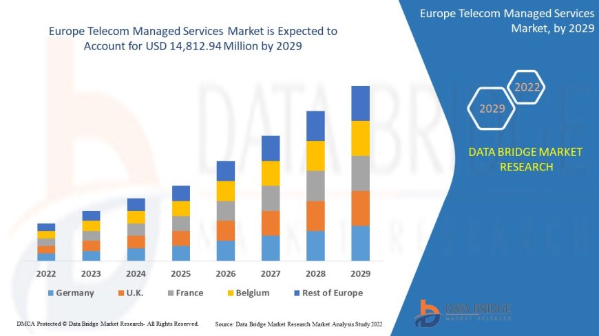 Europe Telecom Managed Services Market Size, Status and Outlook 2029