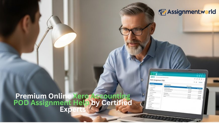 Premium Online Xero Accounting POD Assignment Help by Certified Experts
